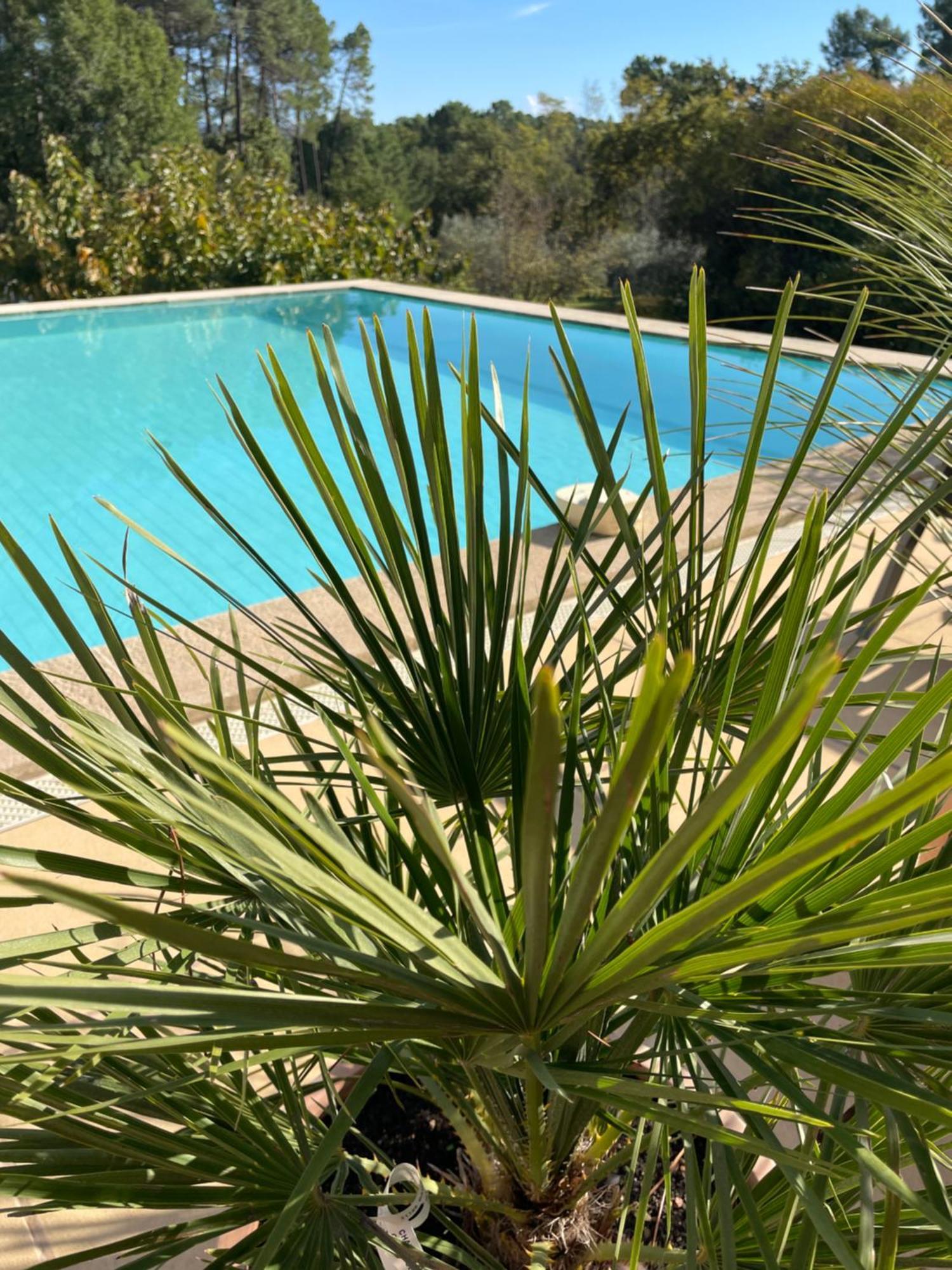 O Coeur Des Ocres Apartment Roussillon  Bagian luar foto
